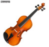 Steinhoff  Violin | Natural Gloss