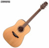 Takamine G20 Series Dreadnought Acoustic / Electric Guitar