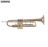rose-gold Bb trumpet| J Michael