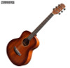 southern star mtt-6 | martinez southern star mtt-6 | martinez