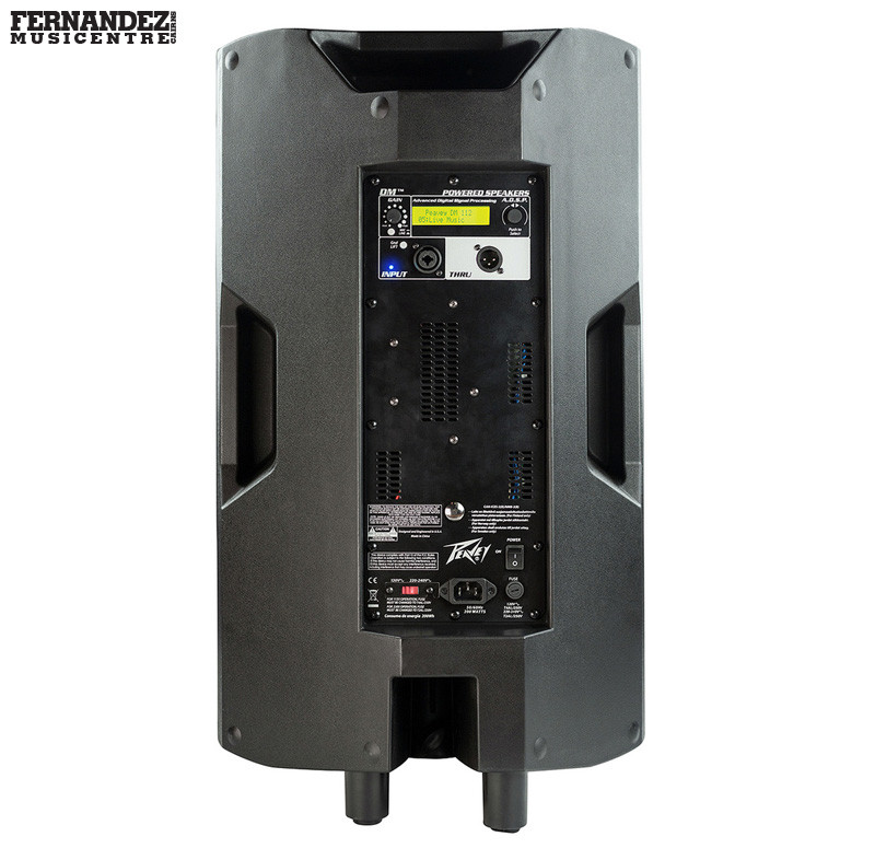 Peavey Dark Matter DM115 660 W Powered 15