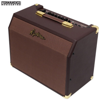 Martinez MAE-25R Acoustic Guitar Amplifier