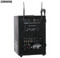 SoundArt PWA-65-D Wireless Dual-Channel Rechargeable PA System