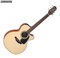 Takamine TGX18CENS Small-Body Acoustic / Electric Guitar