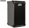 Peavey MAX 208 200 Watt Bass Amp