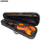 Steinhoff  Violin with case