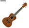 Lanikai MAS-C All Solid Concert Ukulele