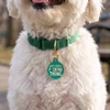 Can't Hear a F*cking Thing - Gold Enamel Dog Tag