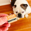 Hello My Name Is Pet ID Tag - Orange