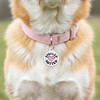 Spoiled Rotten - Enamel Dog Tag