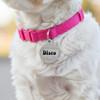 Custom Disco Ball Enamel Dog Name Tag