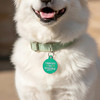 I Identify as Adorable - Enamel Dog Tag