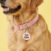 Oldie but a Goodie - Comfort Dog Tag