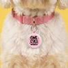 One Eye Wonder - Custom Dog Tag