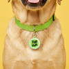 Rub my Nub - Comfort Dog Tag