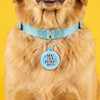 You Even Fetch Bro - Comfort Dog Tag