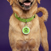 I Do All my Own Stunts - Comfort Dog Tag
