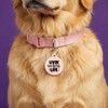 Livin' my Best Life - Comfort Dog Tag