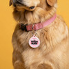 I Give Teeth Hugs - Comfort Dog Tag