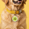 Living the Dream - Comfort Dog Tag