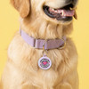 Spoiled Rotten - Comfort Dog Tag