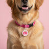 Rescued Princess - Comfort Dog Tag