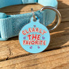 Clearly the Favorite - Enamel Dog Tag *Blue