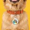 Don't Skinny Dip I Chunky Dunk - Comfort Dog Tag