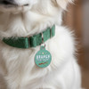 Branch Manager - Enamel Dog Tag