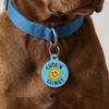 Cute 'N Clingy - Enamel Dog Tag *Blue