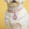 Cute N Clingy - Enamel Dog Tag *Pink