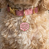 Looking this Cute Should be Illegal - Gold Enamel Dog Tag