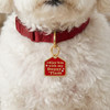 Rizz 'Em w/my Doggy 'Tism - Gold Enamel Dog Tag