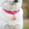 Ray of Sunshine - Enamel Dog Tag *Pink
