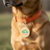 Irish Lass Full of Sass - Silent Dog Tag