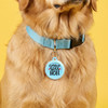 Certified Sasshole - Comfort Dog Tag