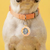 Ears Look Big - Comfort Dog Tag
