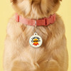 Farting Champion - Comfort Dog Tag