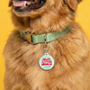 Spicy Little Gremlin - Comfort Dog Tag