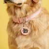 My Love Language is Bacon - Comfort Dog Tag
