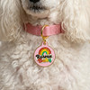 Rescue Baby - Enamel Dog Tag *Pink