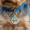 Rescue Baby - Enamel Dog Tag *Blue