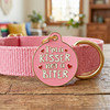Kisser not a Biter - Enamel Dog Tag *Pink