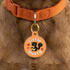 Little Nutty - Enamel Dog Tag