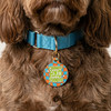 Chunky and Funky - Enamel Dog Tag