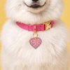 The Dolly - Gold Enamel Dog Tag