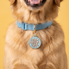 Buck Around & Find Out - Gold Enamel Dog Tag
