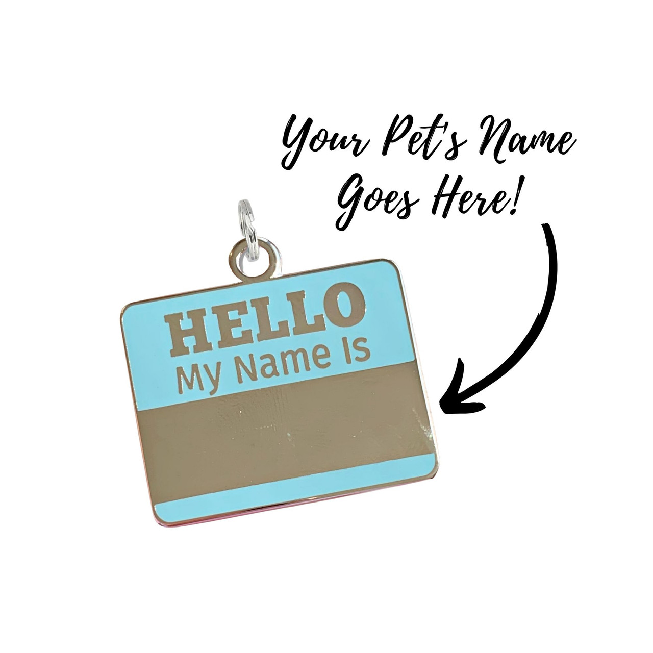 TagWorks Hello My Name Is Personalized Pet ID Tag in Blue | Plastic PetSmart