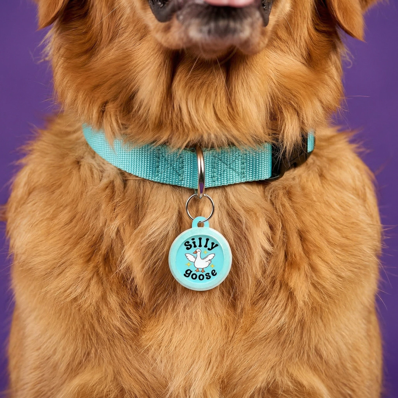 Silly Goose Dog Tag - Personalized Pet ID Tag - Silent Dog Tags