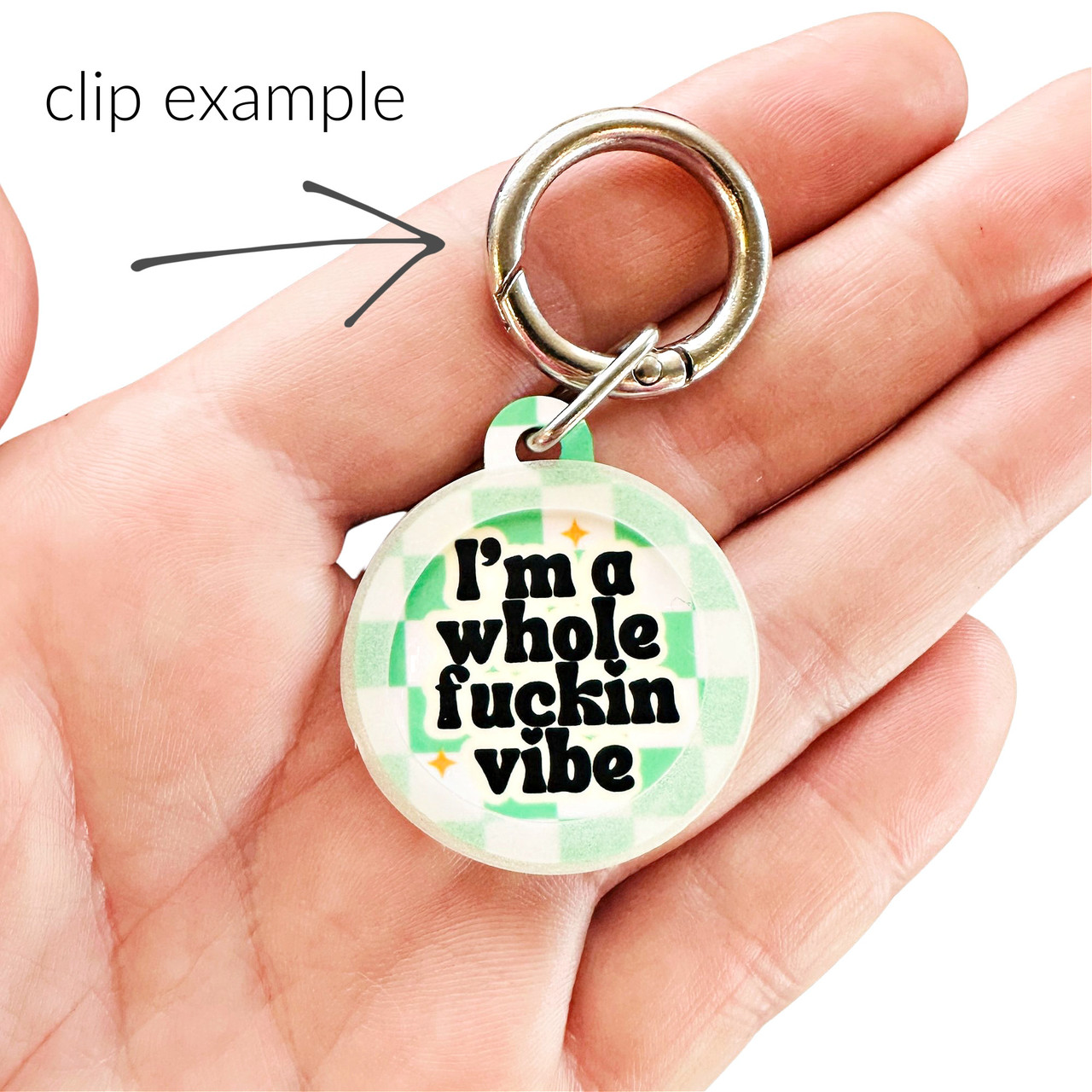 Easy Change Dog Tag Clips